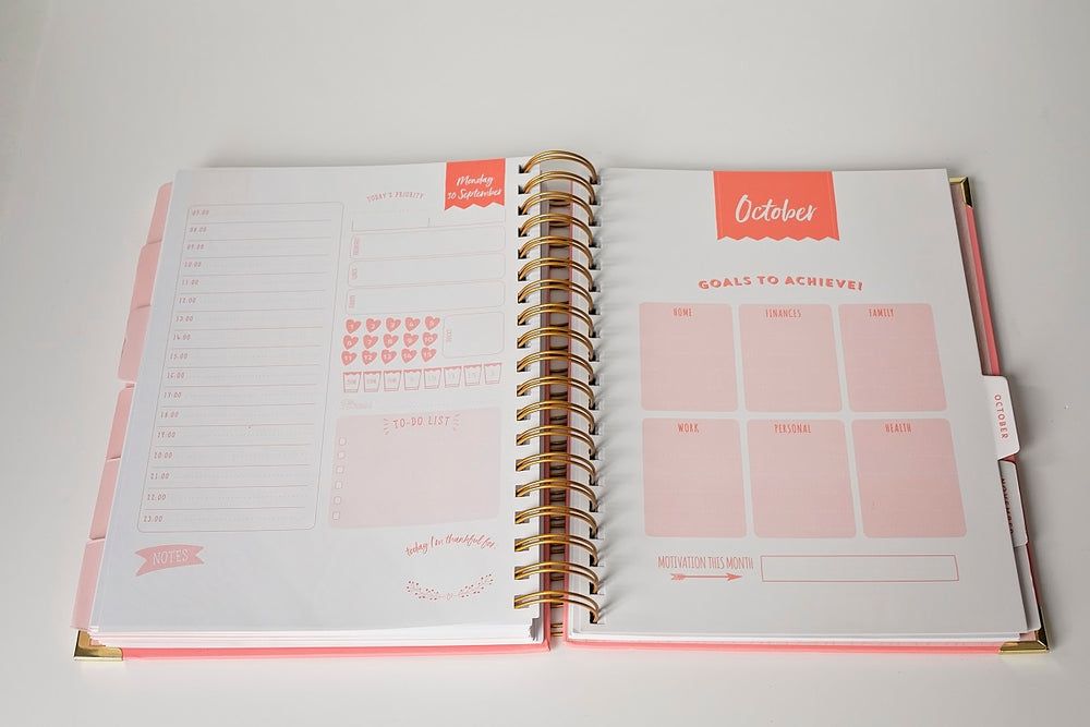 New year, new Fox & Moon 2019 planner